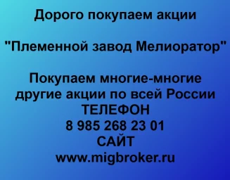 Продать акции «Племенной завод Мелиоратор» по выгодной цене!